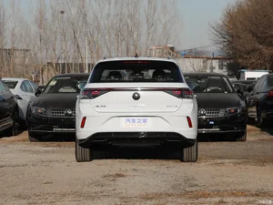 Volkswagen T-Roc — вид сзади